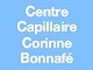 Centre Capillaire, Saint-Gaudens - Horaires d'ouverture