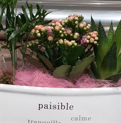 Subbio Fleurs, Champagne-sur-Seine - Horaires d'ouverture