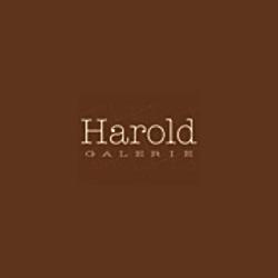 Harold Galerie-Photographe-Lyon, - Horaires d'ouverture