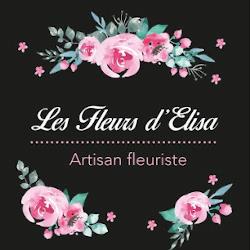 Les Fleurs D'elisa, Plaisance-du-Touch - Horaires d'ouverture
