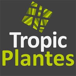 Tropic Plantes - Jardinerie Nîmes, Caveirac - Horaires d'ouverture
