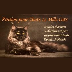 Le Mille Cats, Estillac - Horaires d'ouverture
