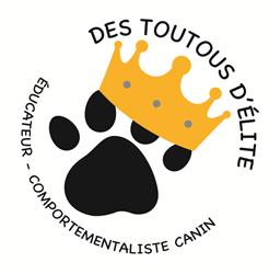 Des Toutous D'elite, Vichy - Horaires d'ouverture