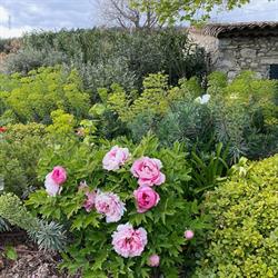Jardin du soleil levant, Châteauneuf-du-Rhône - Horaires d'ouverture
