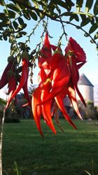 Presqu'ile Jardins, Batz-sur-Mer - Horaires d'ouverture