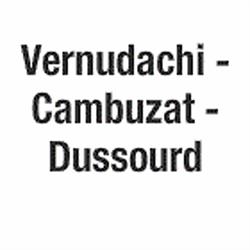 Vernudachi-Cambuzat et Dussourd SELARL, Loches - Horaires d'ouverture