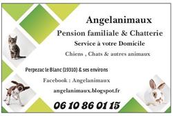 Angelanimaux, Perpezac-le-Blanc - Horaires d'ouverture