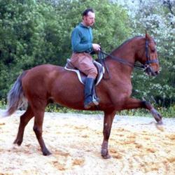 La Pampa, Arcangues - Horaires d'ouverture