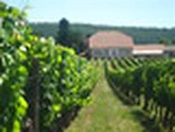 Domaine du Peyrié, Soturac - Horaires d'ouverture