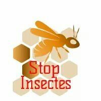 STOP INSECTES, Marseille - Horaires d'ouverture