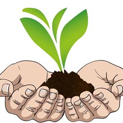 Nature'lich - Projets pour un avenir solidaire et écologique, Betschdorf - Horaires d'ouverture