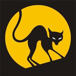 Le CHAT NOIR, Troyes - Horaires d'ouverture