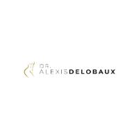 Delobaux Alexis, Bordeaux - Horaires d'ouverture