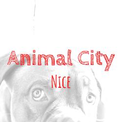 Animal City And Co, Nice - Horaires d'ouverture