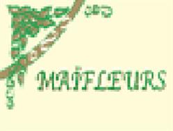 Maifleurs, Douarnenez - Horaires d'ouverture