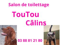 Salon toilettage toutou câlins, Schiltigheim - Horaires d'ouverture