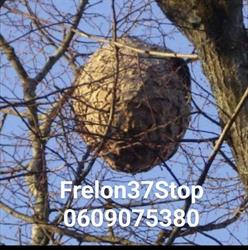Frelon37STOP Germain Stéphane AntenneNumerique, Rochecorbon - Horaires d'ouverture