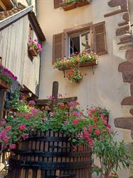 Chambre Chez Coco, Riquewihr - Horaires d'ouverture