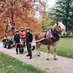 L'Arb'Aux 4 Sabots, Houdan - Horaires d'ouverture