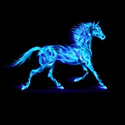 armor equitation, Langueux - Horaires d'ouverture