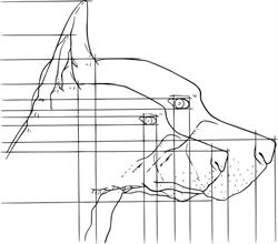 Ambulance Animalière, Nantes - Horaires d'ouverture
