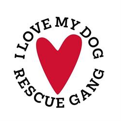 ASSOCIATION I LOVE MY DOG, Saubrigues - Horaires d'ouverture
