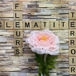 Clématite Fleurs et Terroir, Noyelles-lès-Seclin - Horaires d'ouverture
