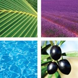 Cote d'Azur Villas, Valbonne - Horaires d'ouverture