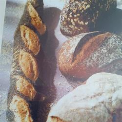 Boulangerie Métayer Bruno Michèle, Nogent-le-Rotrou - Horaires d'ouverture