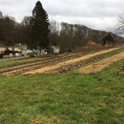 la ferme du Saint Paër, Saint-Paër - Horaires d'ouverture