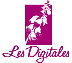 Centre culturel Les Digitales - Caden 56, - Horaires d'ouverture