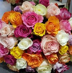 Casti'Fleurs & Co - Fleuriste, Châtenois - Horaires d'ouverture