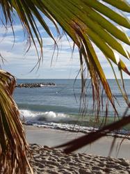 Lisle Azur Locations, Cannes - Horaires d'ouverture