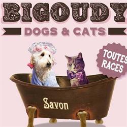 Bigoudy Dogs, Draguignan - Horaires d'ouverture