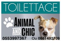 Animal and Chic - Toiletteur Boé, - Horaires d'ouverture