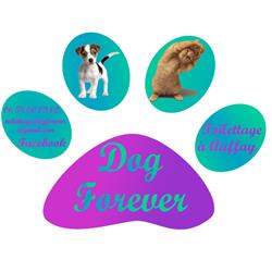 Dog Forever, Auffay - Horaires d'ouverture