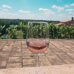 Chateau Maine Gazin, Plassac - Horaires d'ouverture