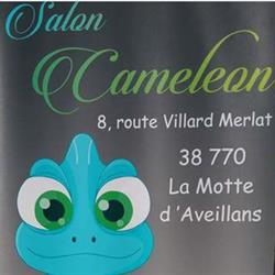 Salon Cameleon, La Motte-d'Aveillans - Horaires d'ouverture