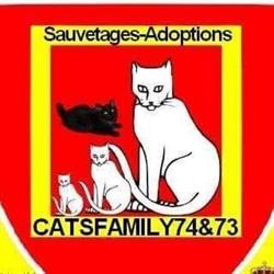 Association Catsfamily 74&73, Seynod - Horaires d'ouverture