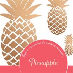 PINEAPPLE, Andrésy - Horaires d'ouverture