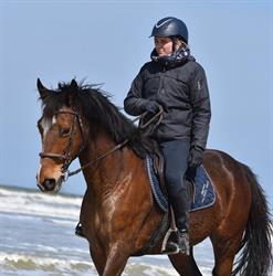 Le Haras Saint Georges, Marck - Horaires d'ouverture