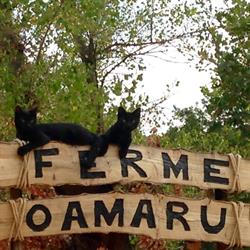 Ferme Oamaru, Les Arcs - Horaires d'ouverture