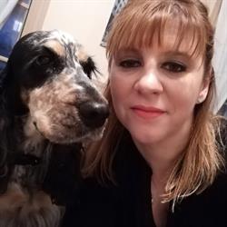 Au Chien Bleu, Brunoy - Horaires d'ouverture
