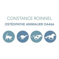 Constance Roinnel, Le Rheu - Horaires d'ouverture