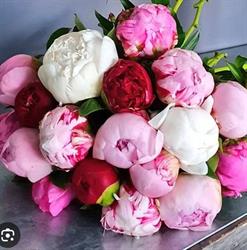 Fleurs Et Style, Angerville-l'Orcher - Horaires d'ouverture