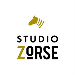Studio Photo & Vidéo Zorse, Malakoff - Horaires d'ouverture