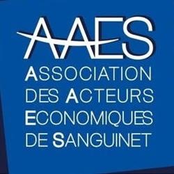 Association des Acteurs Economiques de Sanguinet, - Horaires d'ouverture