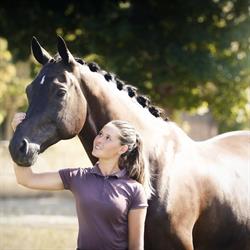 Alexia Ducos Blanchet Dressage, Allonnes - Horaires d'ouverture