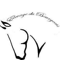 Centre equestre Elevage du bourgeais, Bussac-Forêt - Horaires d'ouverture