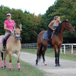 Horse Paradise, Hauville - Horaires d'ouverture